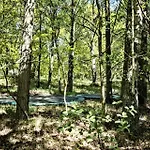 1401-aakirkeby-fyrrebakken-13 *