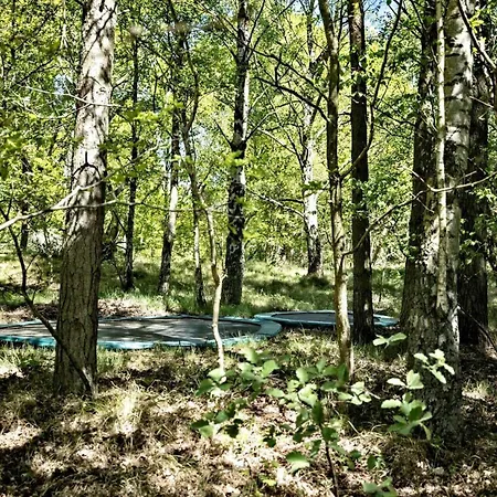 1401-aakirkeby-fyrrebakken-13 *